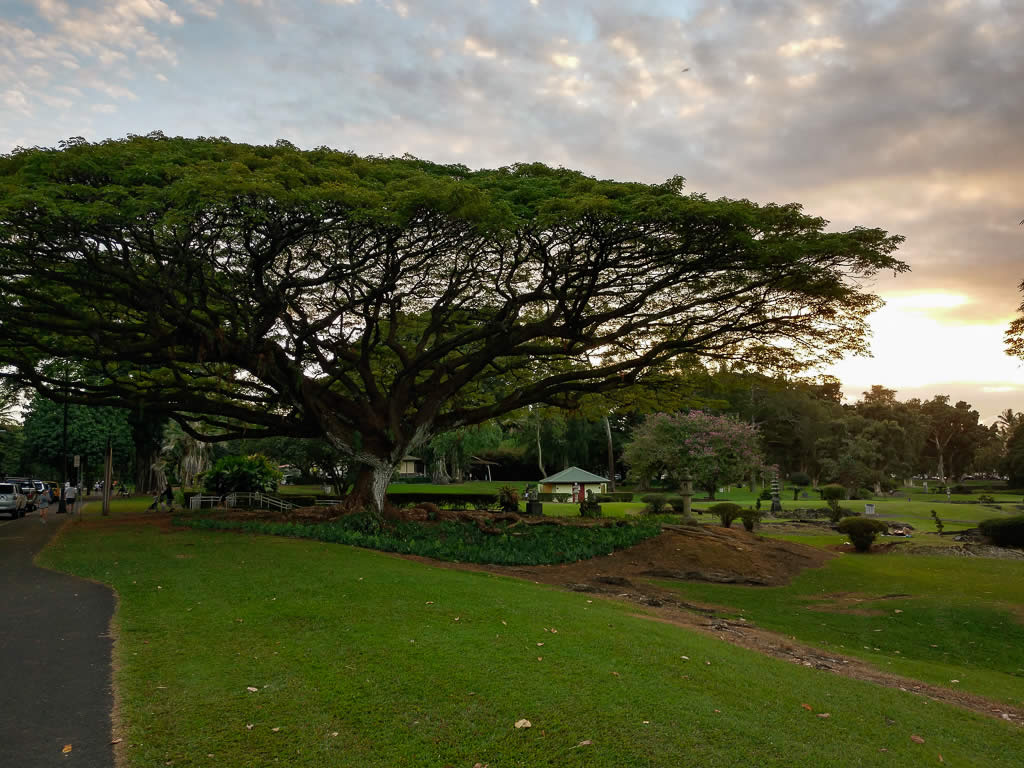 Big Island Hawaii 20190124 175029521 HDR