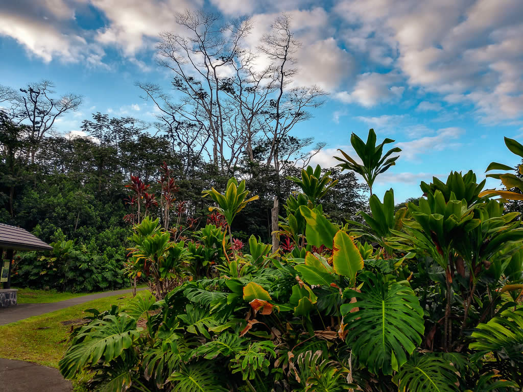 Big Island Hawaii 20190125 074413930 HDR