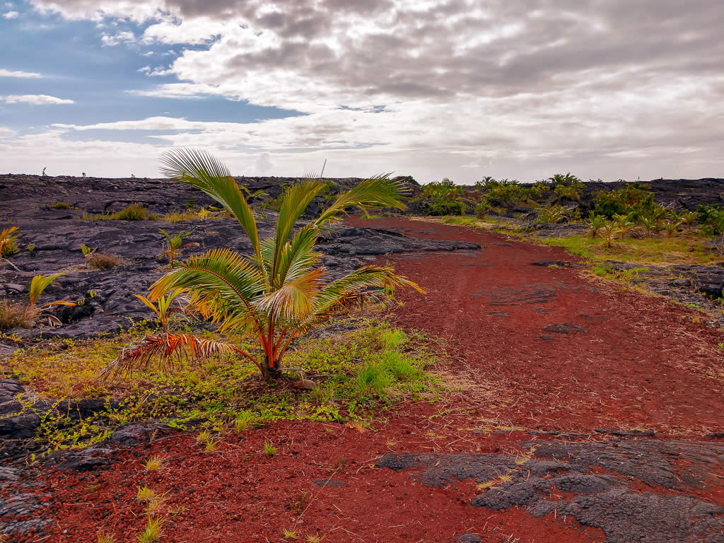 Big Island Hawaii 20190125 094500003 HDR