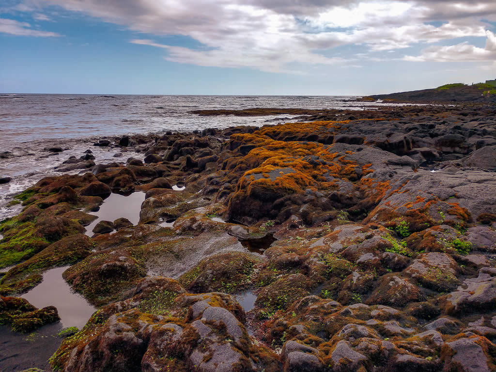 Big Island Hawaii 20190125 132853920 HDR