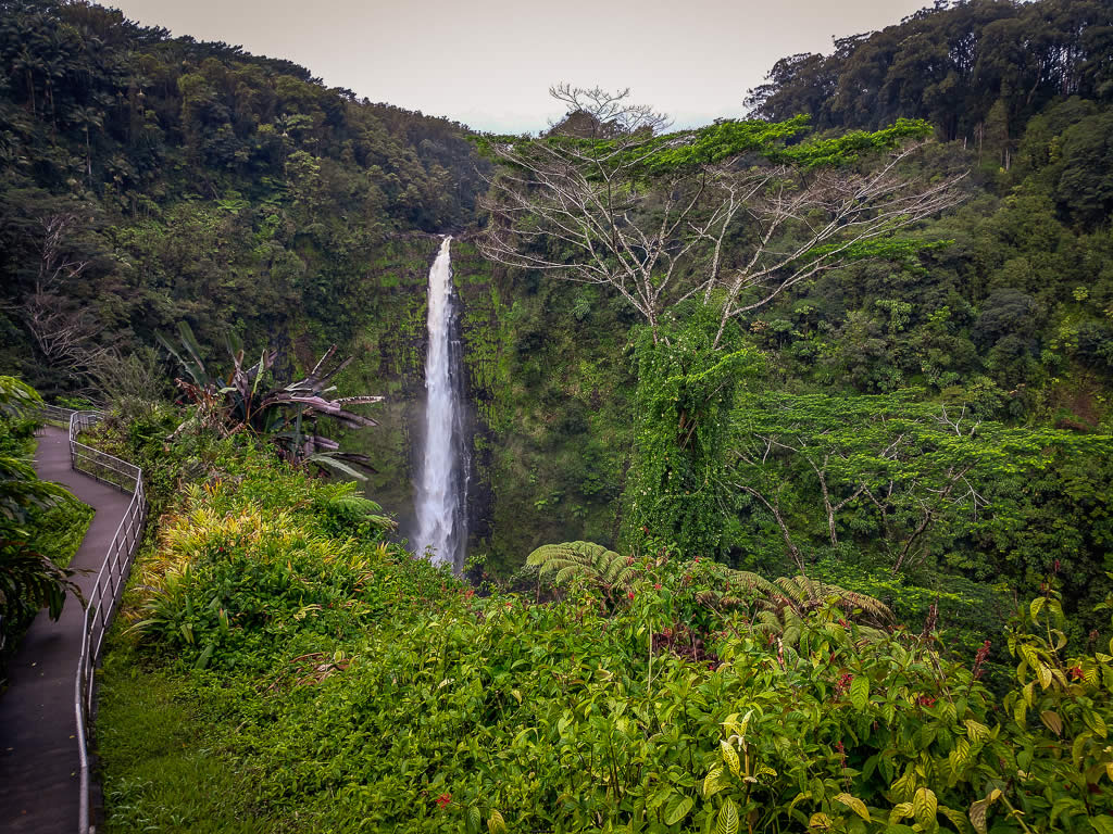 Big Island Hawaii 20190126 090759925 HDR