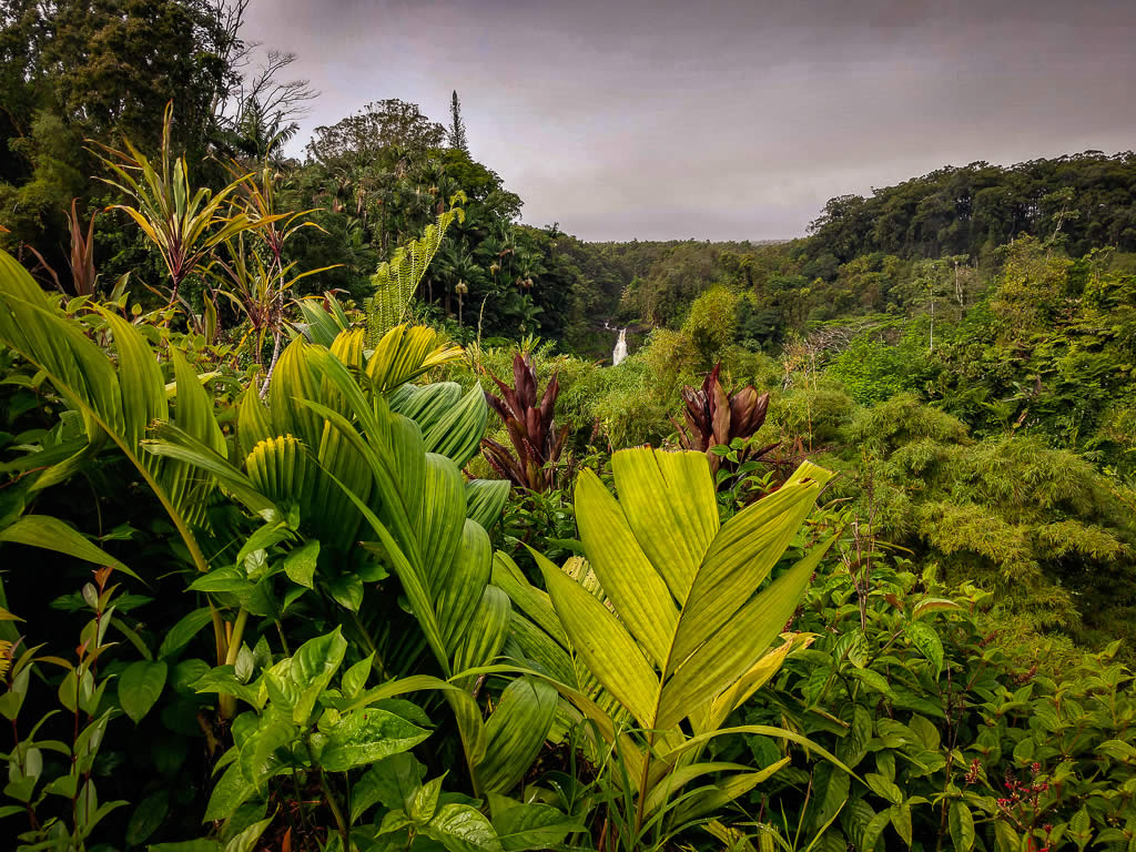 Big Island Hawaii 20190126 091500529 HDR