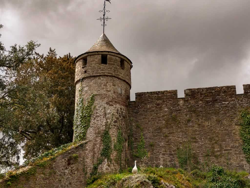 Cahir Castle Ireland standing post